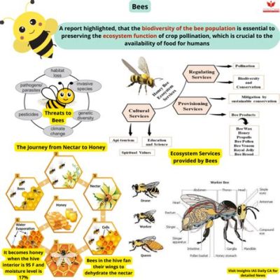  Honeybee: A Field Guide to Ethiopian Biodiversity - Unveiling Nature's Tapestry through Detailed Observation and Cultural Insight