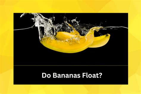 How Much Is a Motorcycle License in Oklahoma and Why Do Bananas Float in Water?