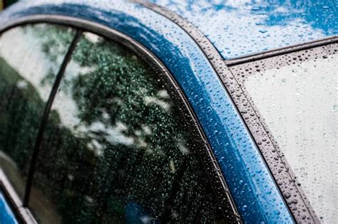 Water Leaking into Car When It Rains: Why Does My Car Feel Like a Fish Tank?