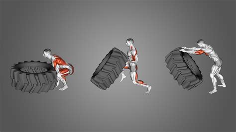 What Muscles Do Tire Flips Work: A Deep Dive into the Mechanics of Strength and Chaos